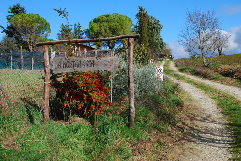 Canile Visit Dec 2024 – a real eye opener