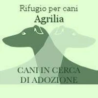 Rifugio per cani Agrilia