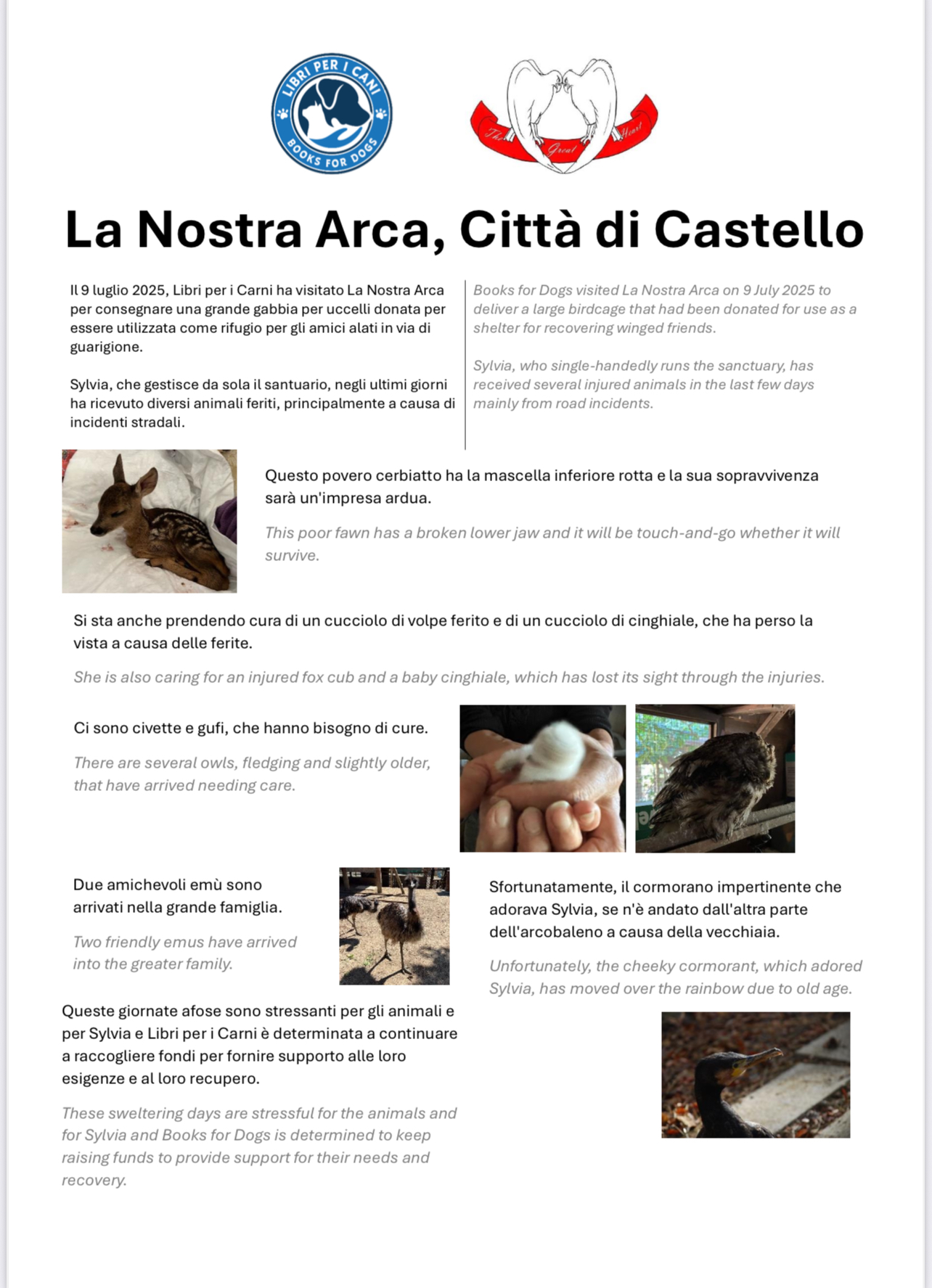 Report from our La Nostra Arca