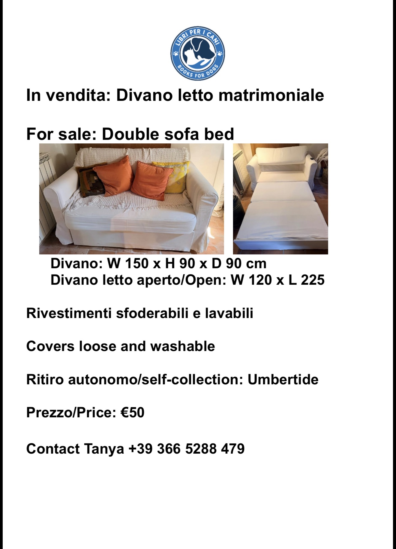 Double Bed pull out couch for sale