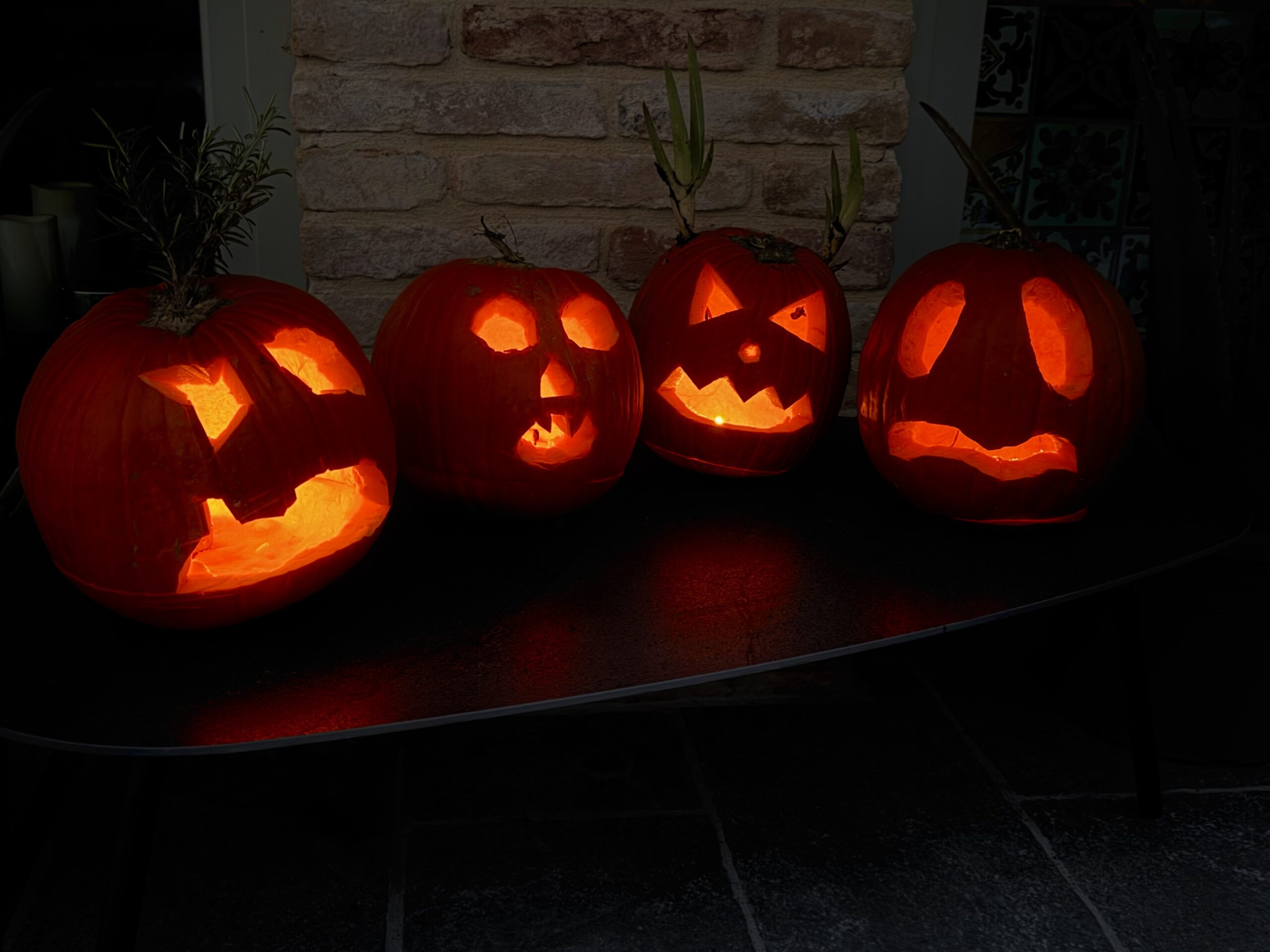 Reminder – Books for Dogs – Halloween Bingo, Tuesday 27th October